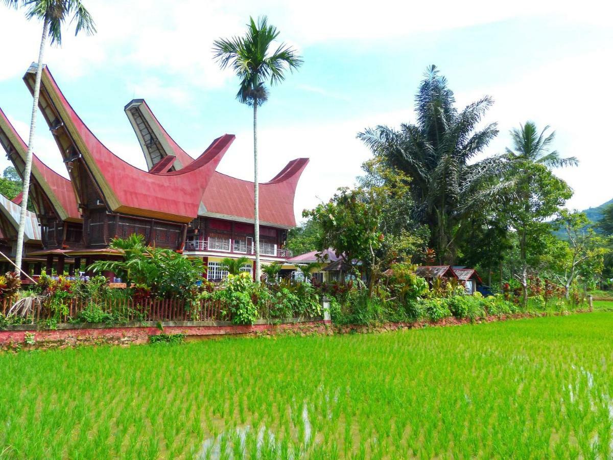 Toraja Torsina Hotel Рантепао Екстериор снимка